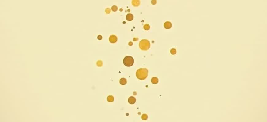 Ai Video Camera Movement